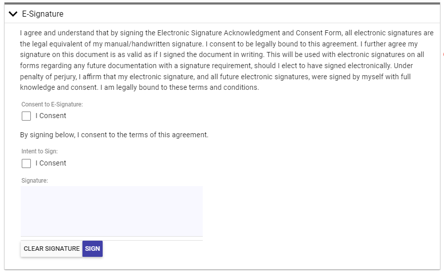 e-signature form